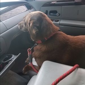 Meet your Posher, Helen