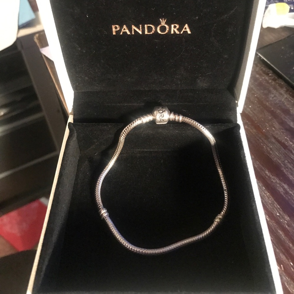 Pandora Charm Bracelet