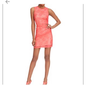 Vince Camuto coral lace sheath dress