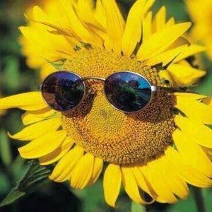 Meet your Posher, Lynn