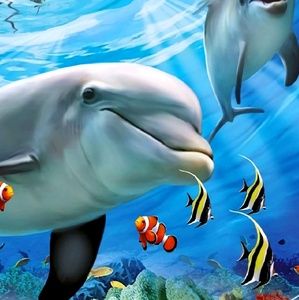 Meet your Posher, Eva