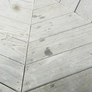 Meet your Posher, Collin