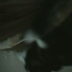 Meet your Posher, Cory