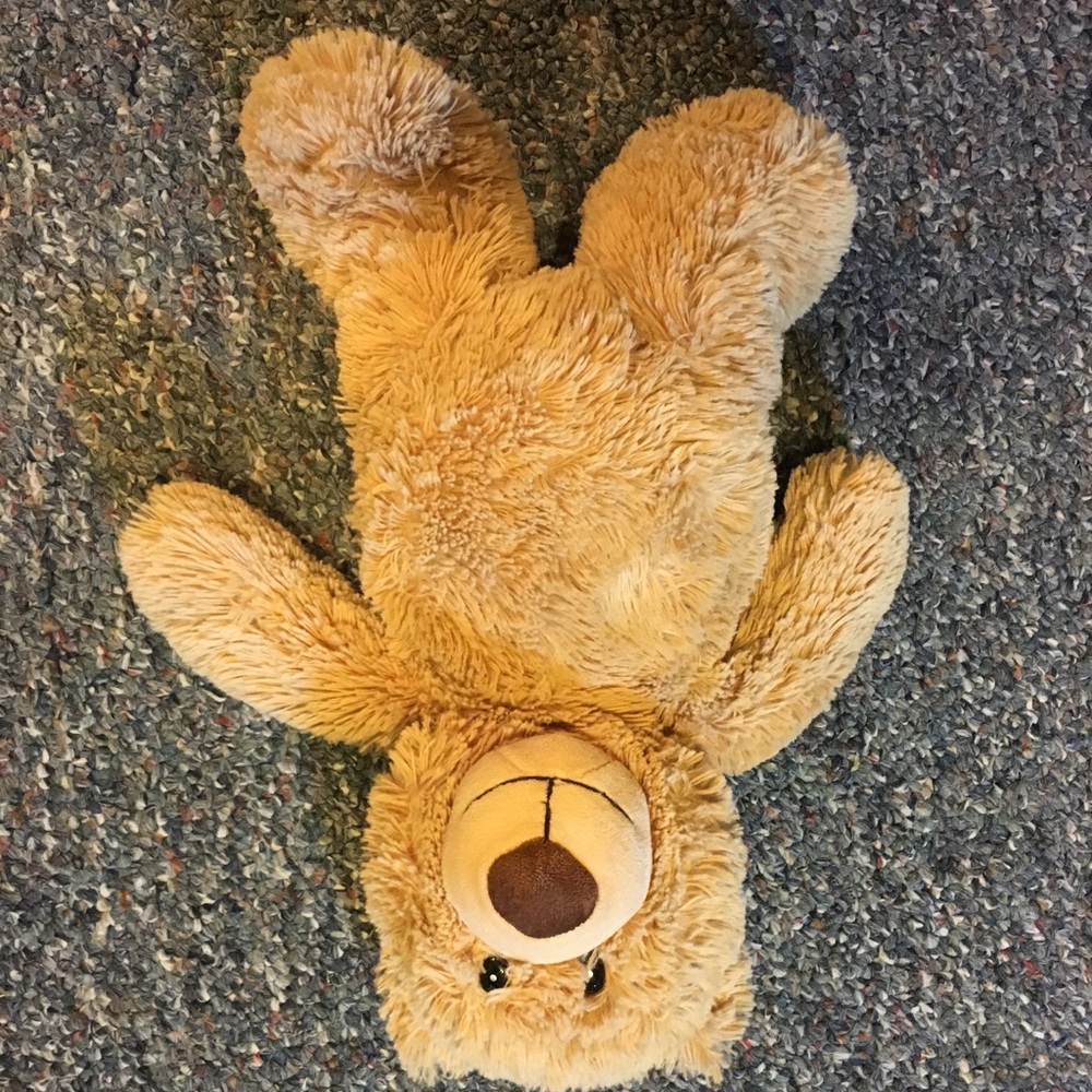 Stuffed bear small size