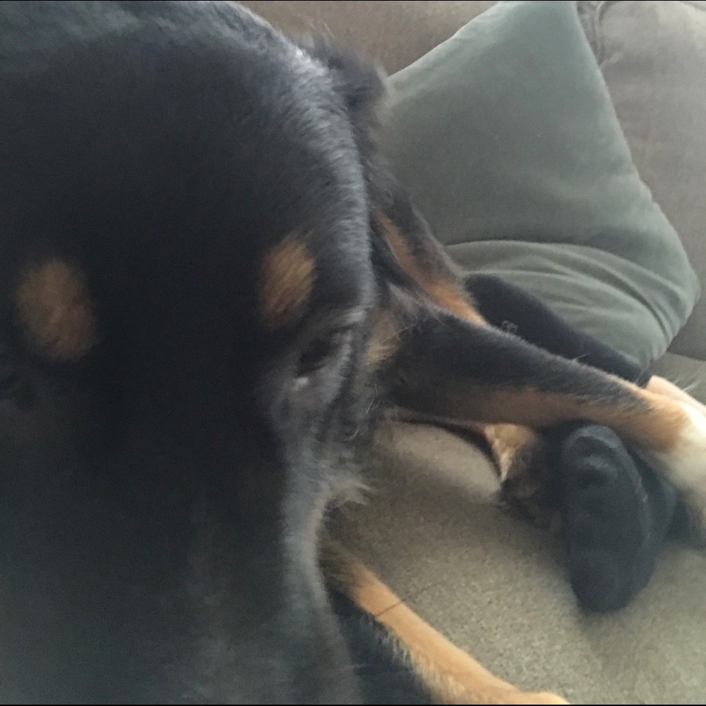 Meet your Posher, Marissa