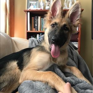 Meet your Posher, Erin