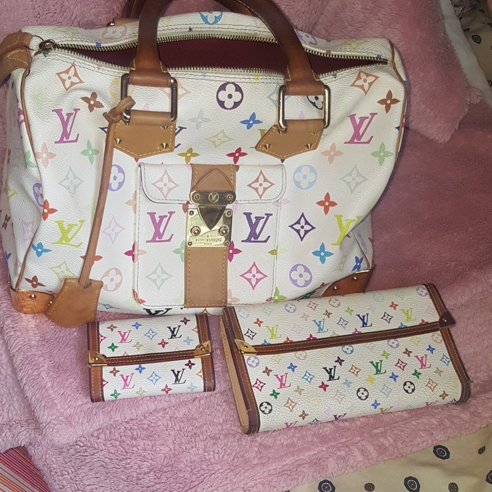 Louis vuitton Multicolor speedy and wallets bundle