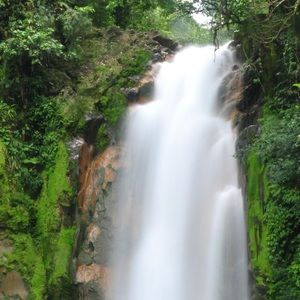 Meet your Posher, Hector