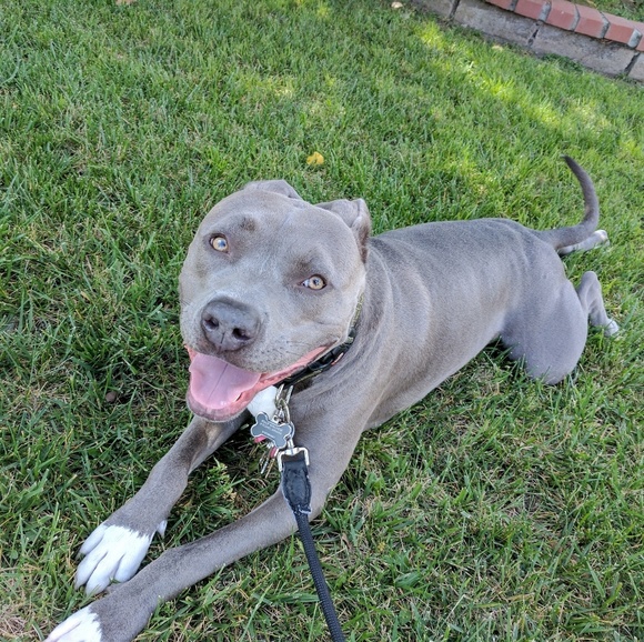 Meet your Posher, Jan - Picture 2 of 2