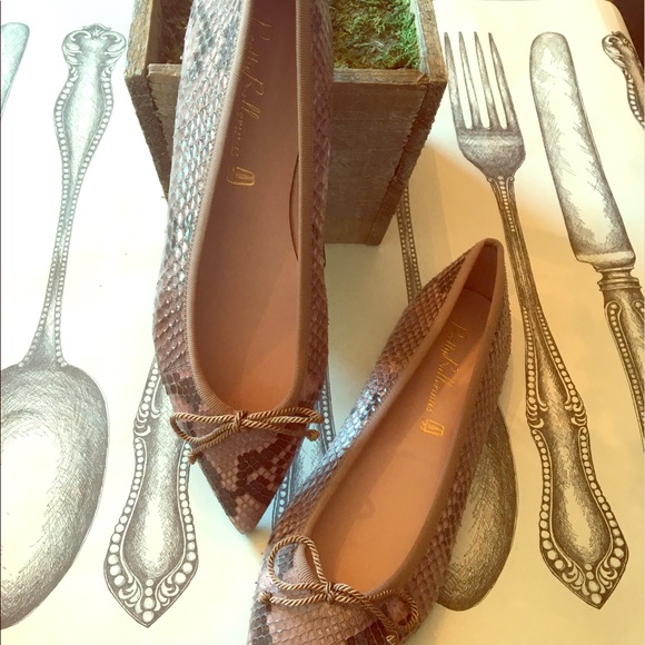 Pretty Ballerinas Shoes - Flats
