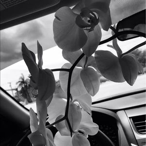 Meet your Posher, Jorge