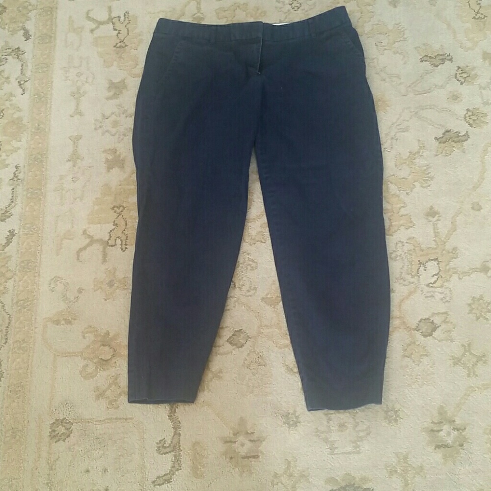 J Crew Stretch City Fit Womens Blue Pants
