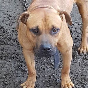 Meet your Posher, Will