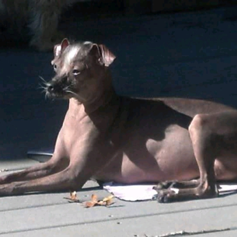 Meet your Posher, Loreen