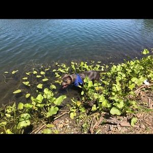 Meet your Posher, Becca