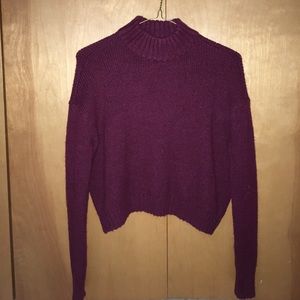 Pullover/Slouchy Turtleneck Sweater