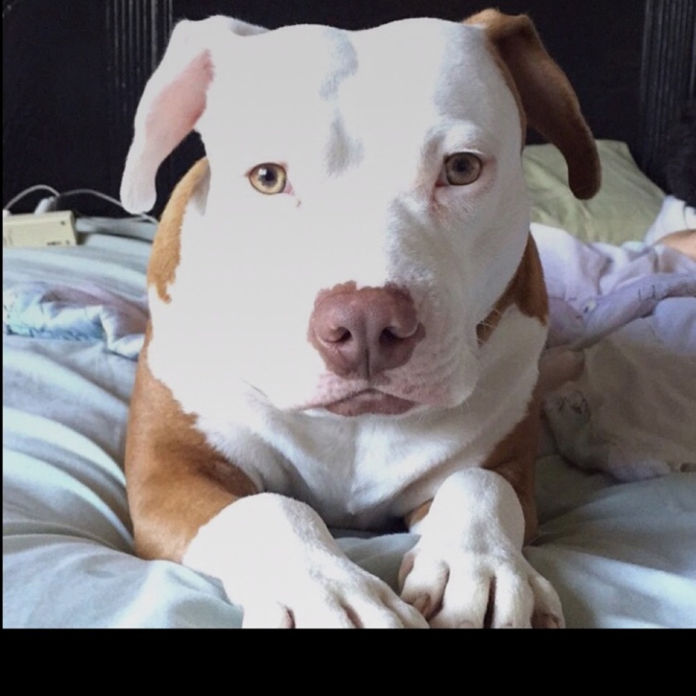 Meet your Posher, Katherine