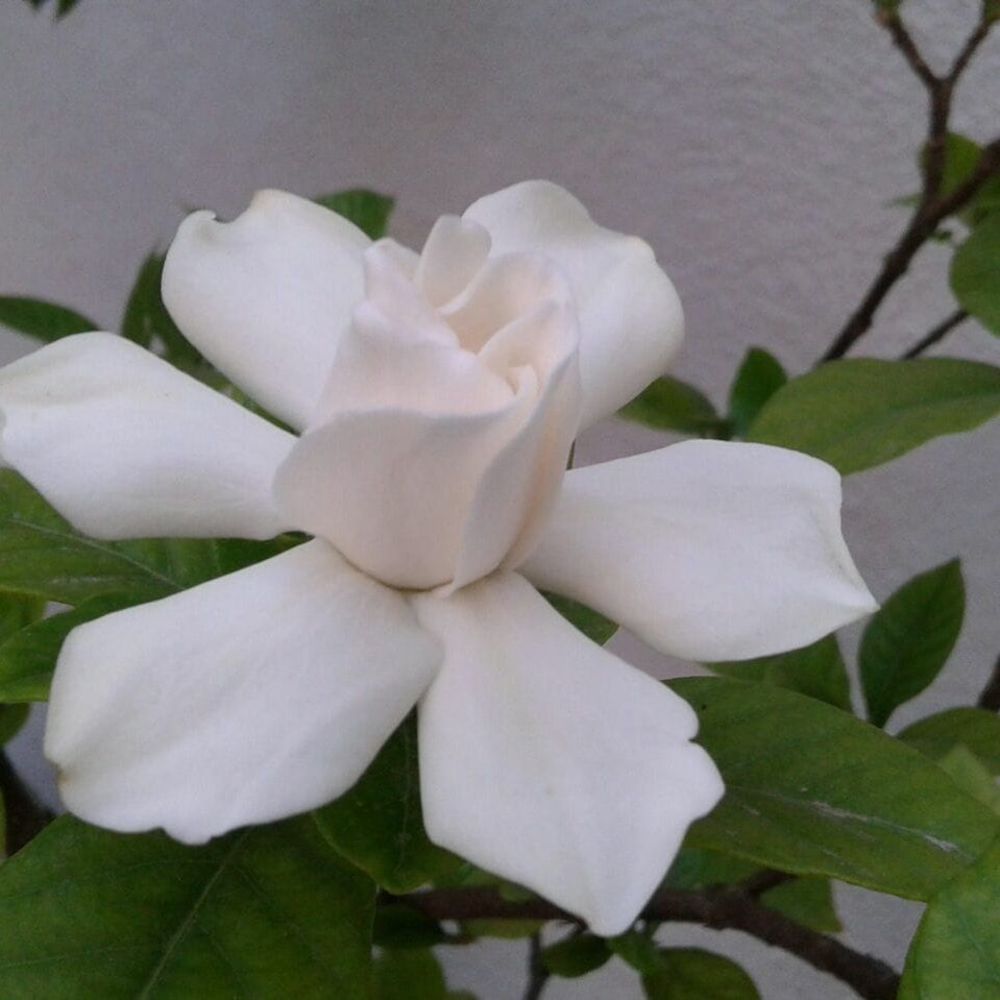 Meet your Posher, Esther