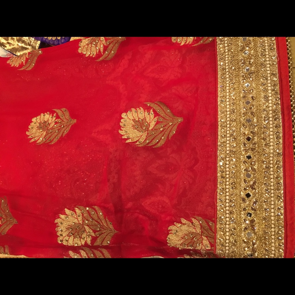 Red and Gold Sari