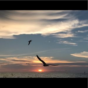 Meet your Posher, Tyra