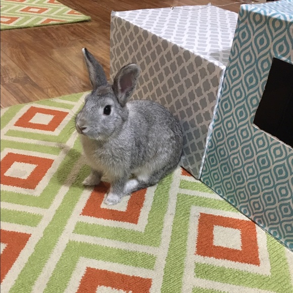 Meet your Posher, Kyle - Picture 1 of 1