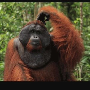 Meet your Posher, Danny