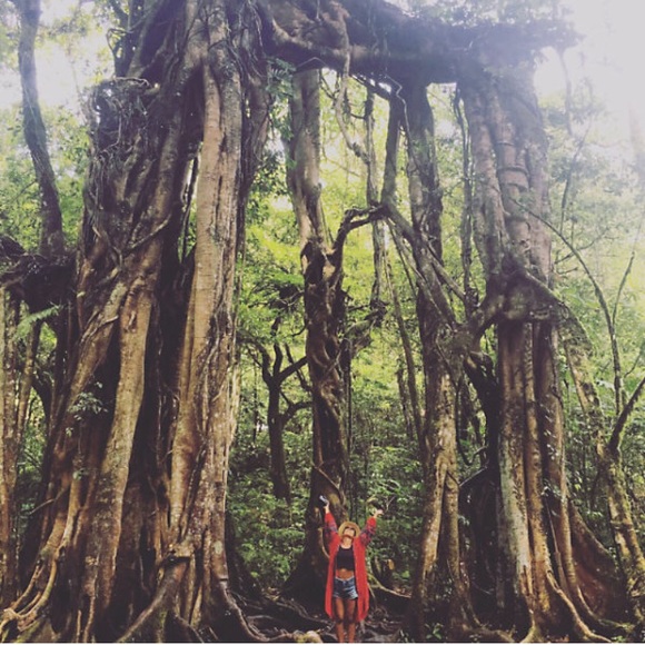 Free People In The Clear Embroidered Maxi Red - Picture 8 of 8