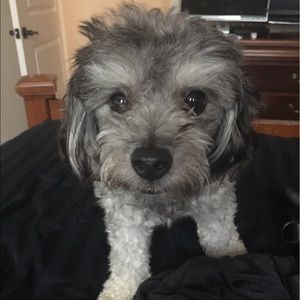 Meet your Posher, Nick