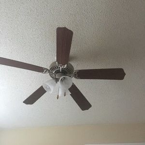 Meet your Posher, Rena