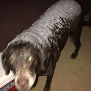 Meet your Posher, Christine