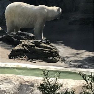 Meet your Posher, Leeann