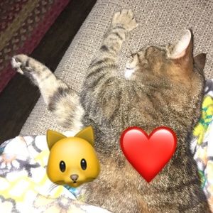 Meet your Posher, Grace