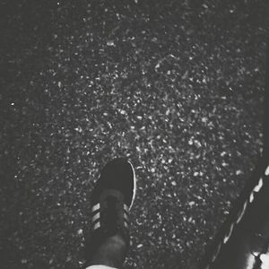 Meet your Posher, Samuel