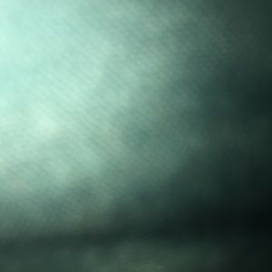 Meet your Posher, Rood