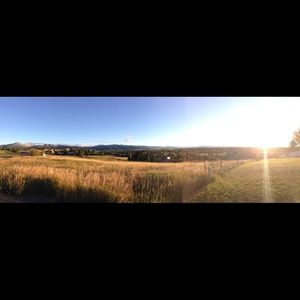 Meet your Posher, Sami