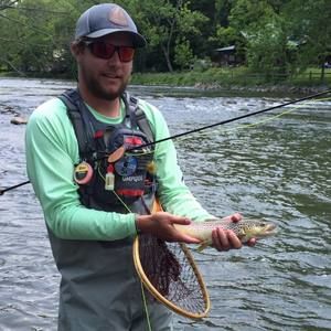 Meet your Posher, Cody