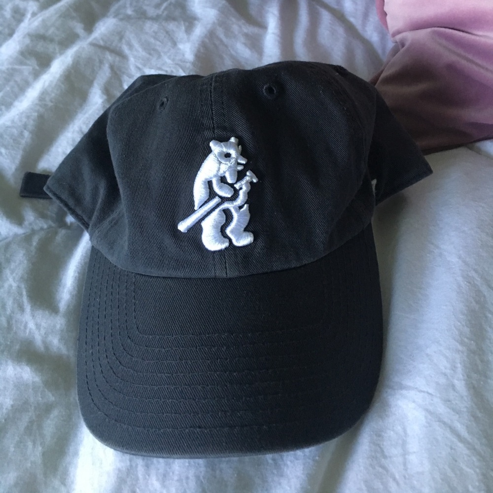 Chicago cubs Cap