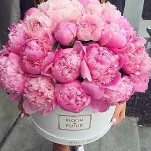 Meet your Posher, Maru