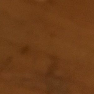 Meet your Posher, Jake