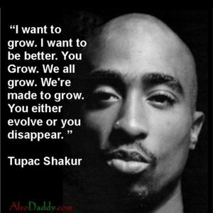 Meet your Posher, King