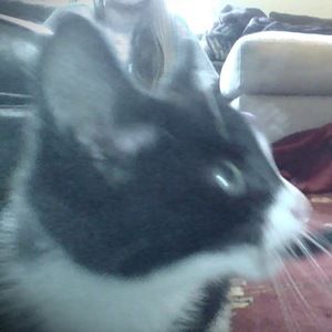 Meet your Posher, Katherine