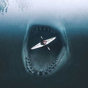 Meet your Posher, Shane