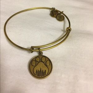 Alex and Ani bracelet