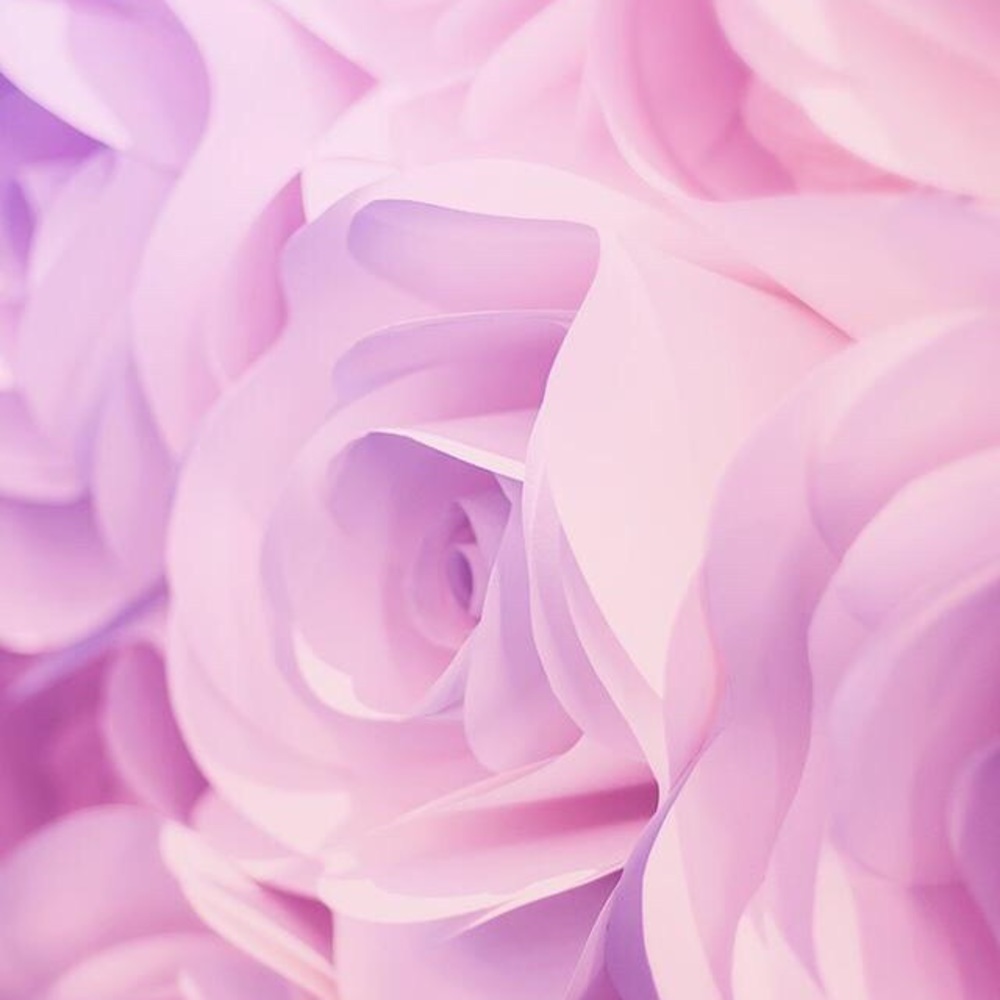 Meet your Posher, Karley