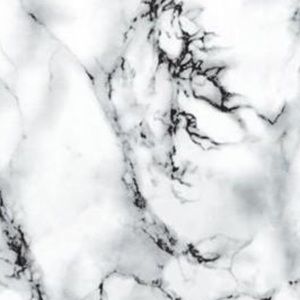 Meet your Posher, Ernesto