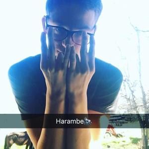 Meet your Posher, Tyler