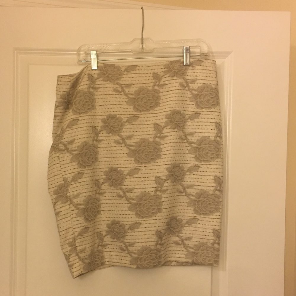 Ann Taylor Skirt
