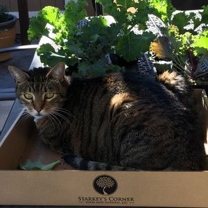 Meet your Posher, Ben