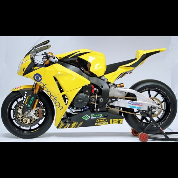 Meet your Posher, Gino - Picture 4 of 4