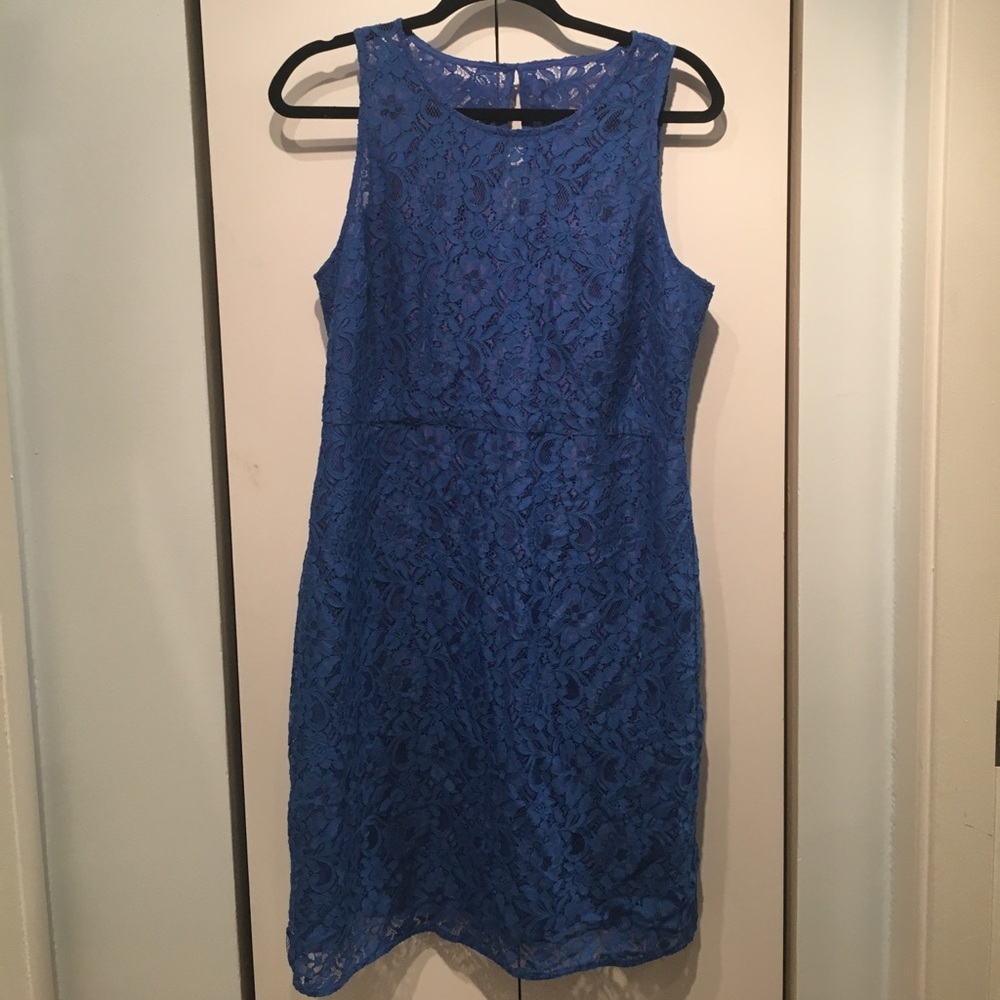 Royal Blue Lace J. Crew Dress 12